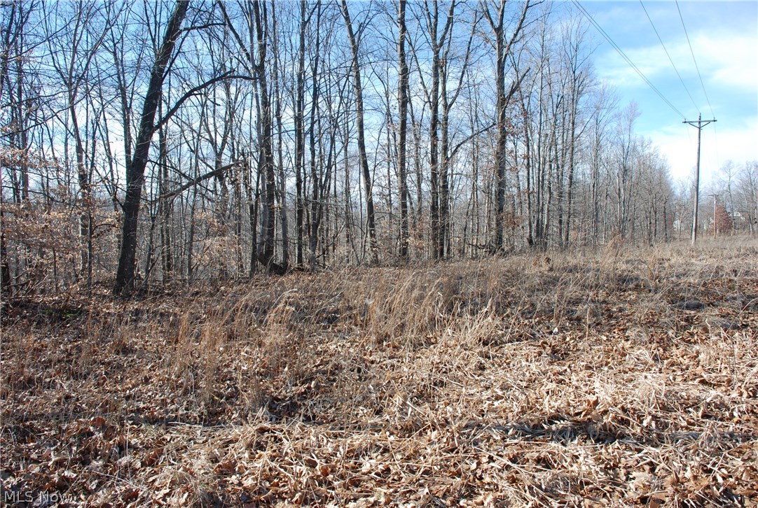 Virginia Ridge Farm - Land