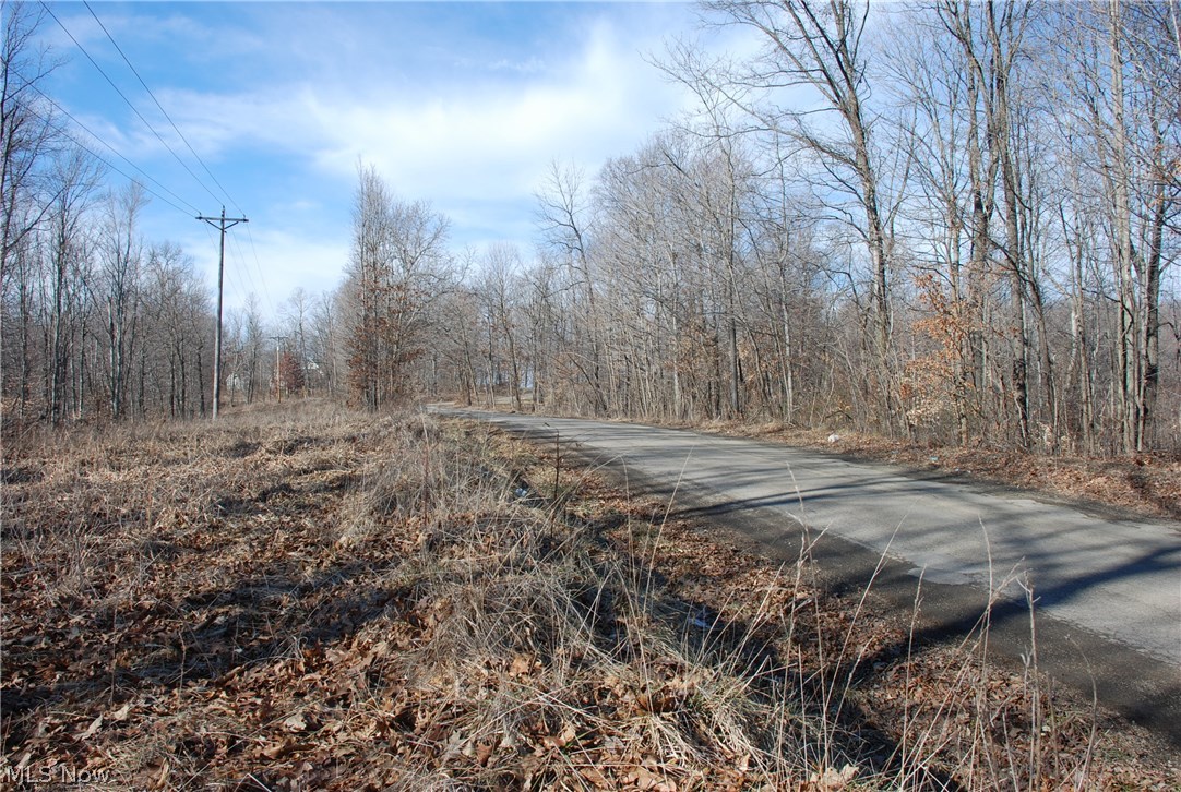 Virginia Ridge Farm - Land