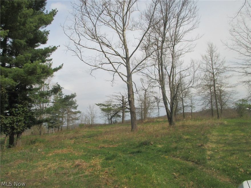 Vacant lot in East Sparta