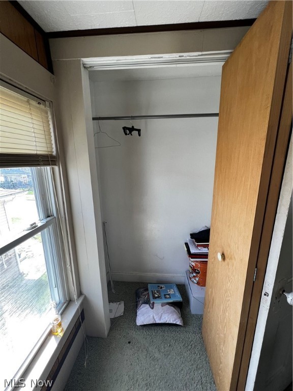 Belle Terrace - Residential