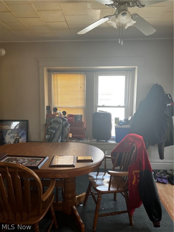 Belle Terrace - Residential