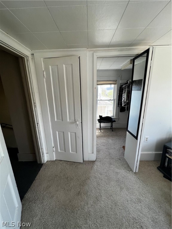 Belle Terrace - Residential