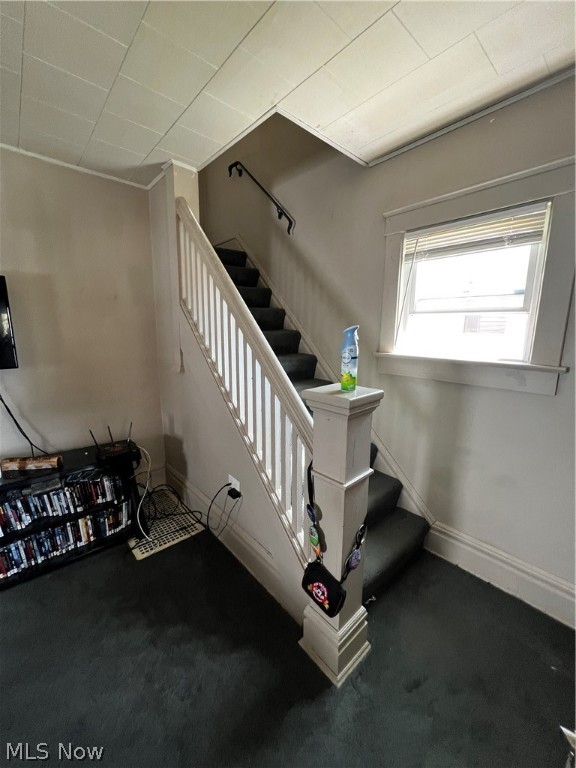 Belle Terrace - Residential