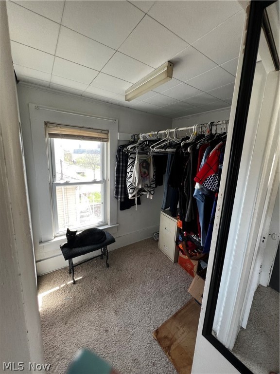 Belle Terrace - Residential