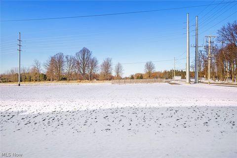 Tiny photo for 1024 Kadas Lane, Wooster, OH 44691 (MLS # 5189068)