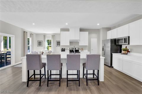 Tiny photo for 1024 Kadas Lane, Wooster, OH 44691 (MLS # 5189068)