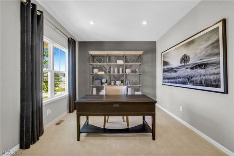 Tiny photo for 1024 Kadas Lane, Wooster, OH 44691 (MLS # 5189068)