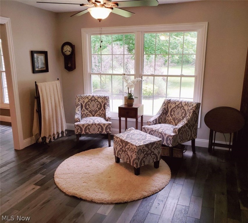 Silver Fox - Residential