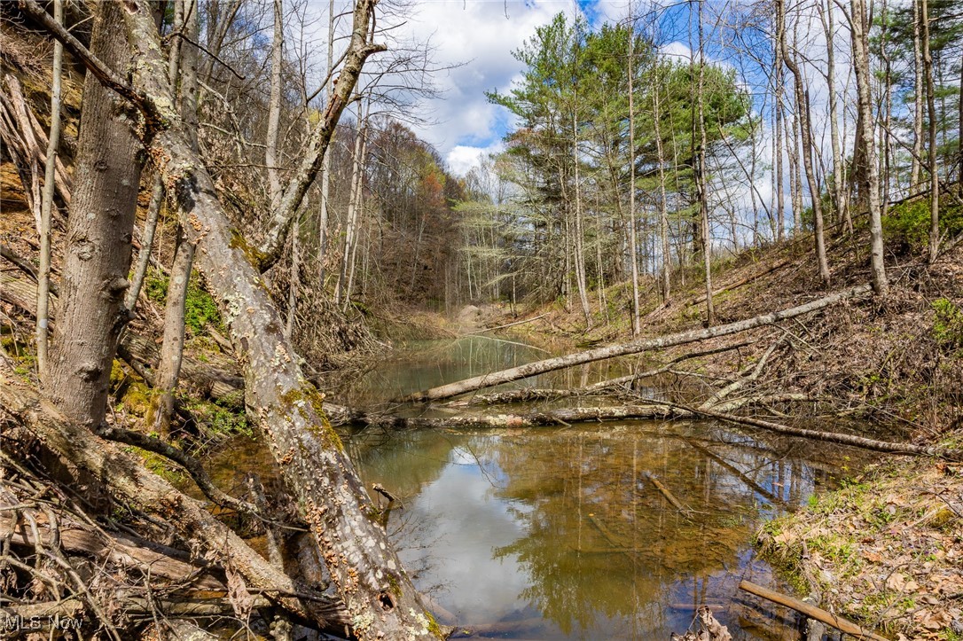 Ogles Ridge Road, Dexter City, Ohio image 21