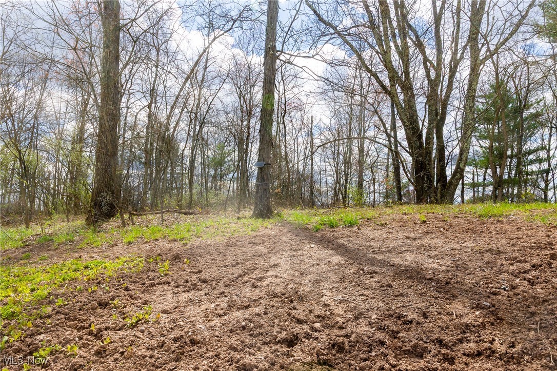 Ogles Ridge Road, Dexter City, Ohio image 14