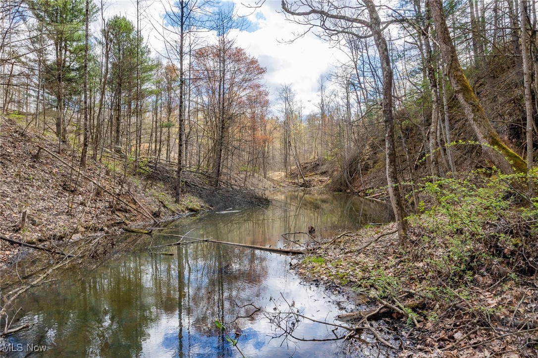 Ogles Ridge Road, Dexter City, Ohio image 22