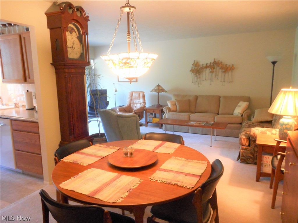 Silver Lake Towers Condo - Residential