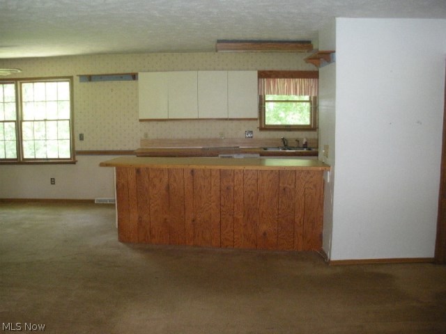 Kiwanis Lake - Residential