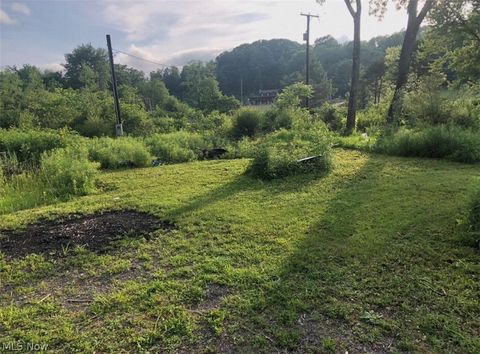 Tiny photo for 909 Lisbon Road, Salem, OH 44460 (MLS # 5202779)