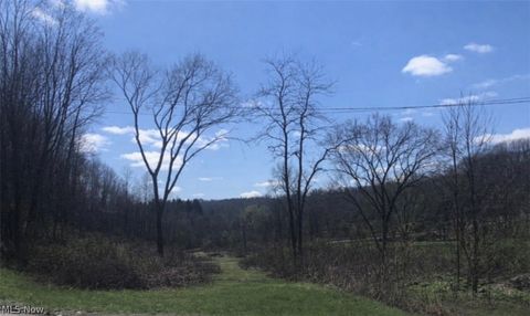 Tiny photo for 909 Lisbon Road, Salem, OH 44460 (MLS # 5202779)