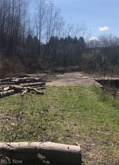 Tiny photo for 909 Lisbon Road, Salem, OH 44460 (MLS # 5202779)