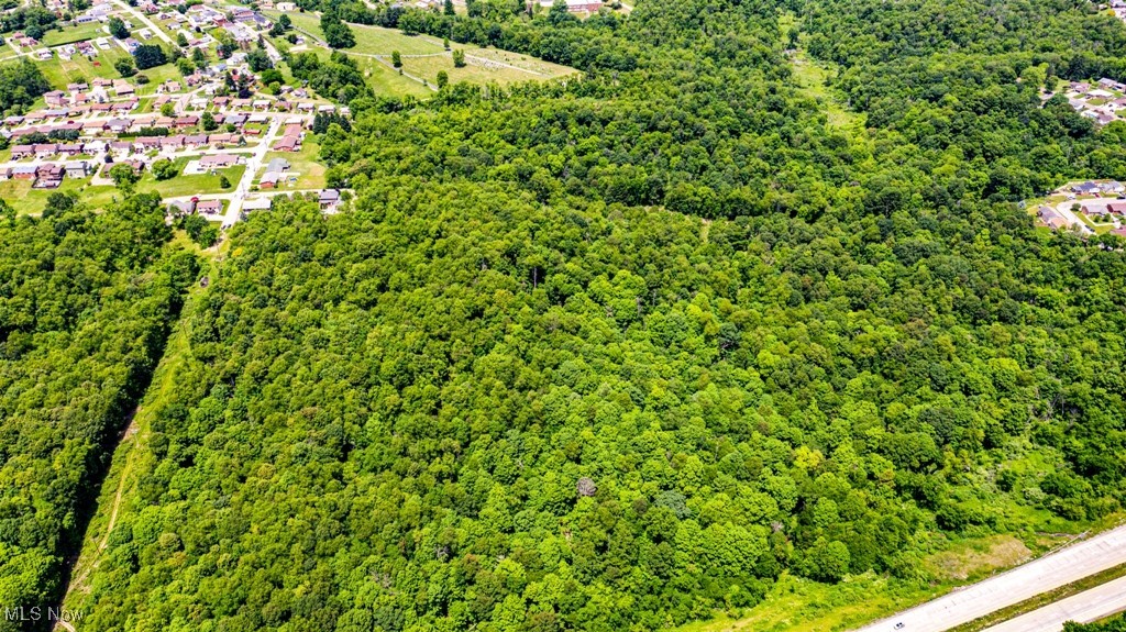 Surrounding Rose Garden, Weirton, West Virginia image 8