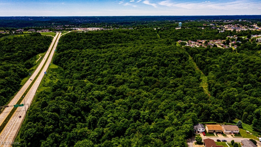 Surrounding Rose Garden, Weirton, West Virginia image 4
