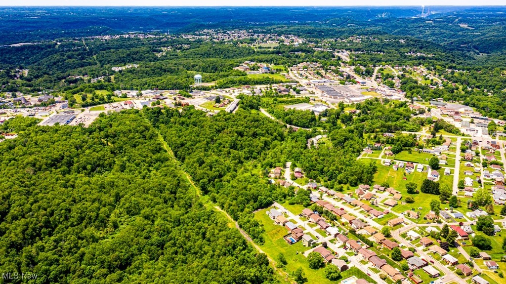 Surrounding Rose Garden, Weirton, West Virginia image 11