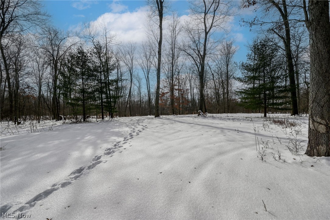 Ravenna - Residential