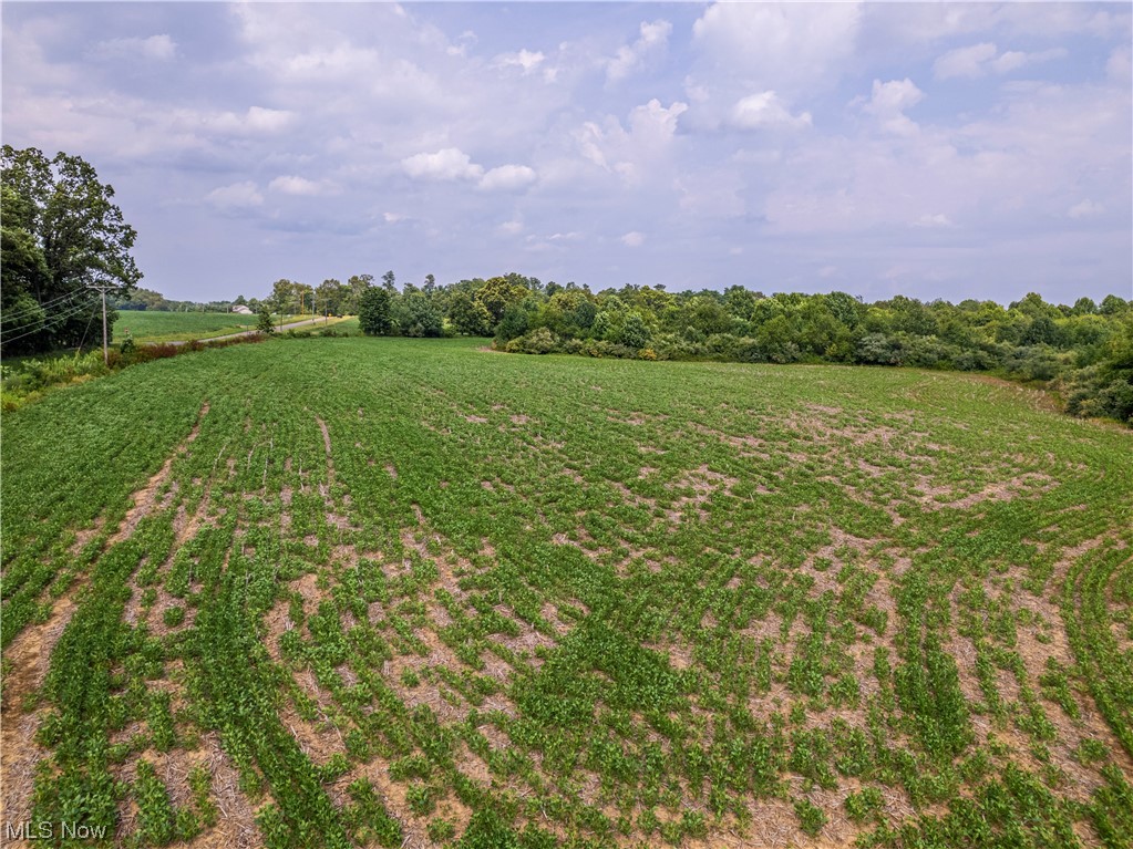 Auction Date is Saturday, October 7th, 2023 at 11:00 AM. Parcel 16: 10 acres. Open tillable ground with Building Site. 410’ Frontage on Gilchrist Road. Nestled just east of Mt. Vernon in the serene Knox County, this sprawling 375-acre farm isn't just a parcel of land; it's a testament to time, carrying with it a rich legacy that has spanned three generations and almost a century. Every inch of this property bears witness to family stories, tireless work, and a commitment to land stewardship. Its strategic location, with a generous 1.8 miles of road frontage, offers unparalleled access. Beyond its own natural wonders, the farm is a stone’s throw from the educational hubs of Gambier and Mt. Vernon, making it a unique blend of rural charm and accessibility to town life. Moreover, the proximity to the Columbus Metropolis ensures urban amenities are never far away. Approximately 140 acres of this land has been dedicated to the cultivation of wheat, corn, and soybeans over the years. There are fertilizer records, soil test and yield reports available. Beyond its agricultural prospects, nature enthusiasts will delight in the wooded expanses that make up the balance of the property. These woods are not just picturesque but also serve as a sanctuary for an impressive deer herd and other wildlife, providing ample opportunities for nature observation or an oasis for the avid hunter.