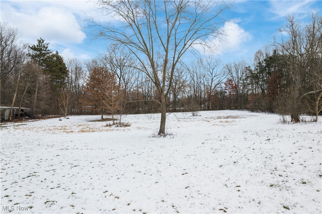 7 Springfield - Residential