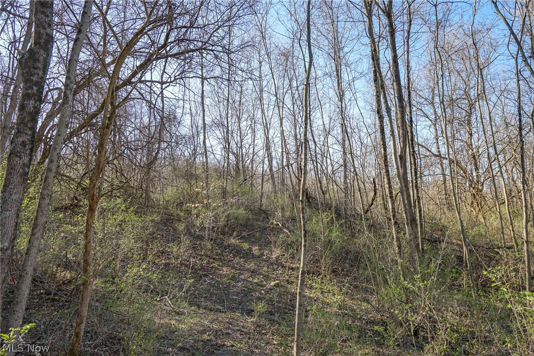 Groves Hill Rd, Caldwell, Ohio image 7