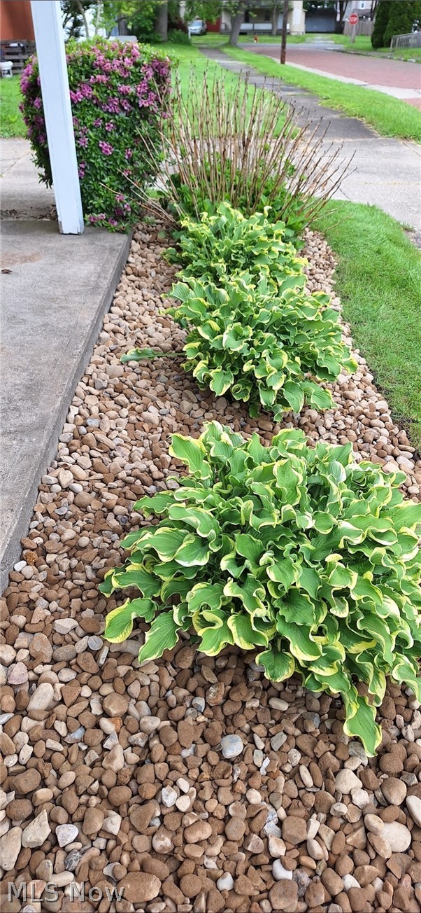 City/Niles - Residential