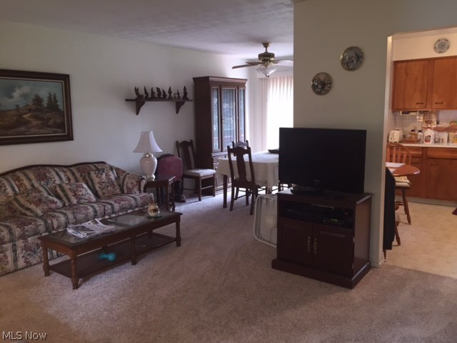 Cambrian Hills - Residential