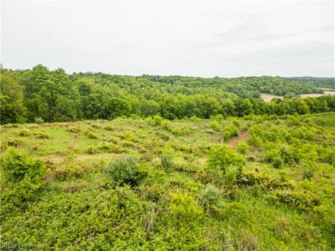 Vacant Land For Sale - Barkley Road<br/> Uhrichsville, OH 44683