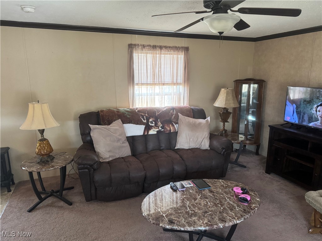 11563 Back Massillon Road #LOT 127, Orrville, Ohio image 8