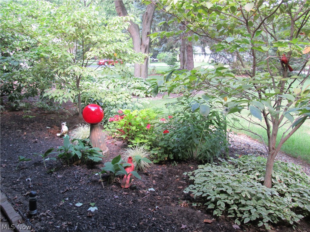 Golden Glow Allotment - Residential