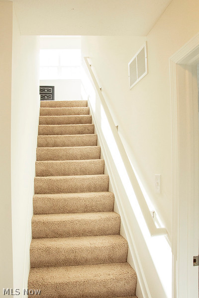 Trailside Slavic Village - Residential