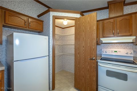 Tiny photo for 1 Tympani Trail, Olmsted Township, OH 44138 (MLS # 5179527)