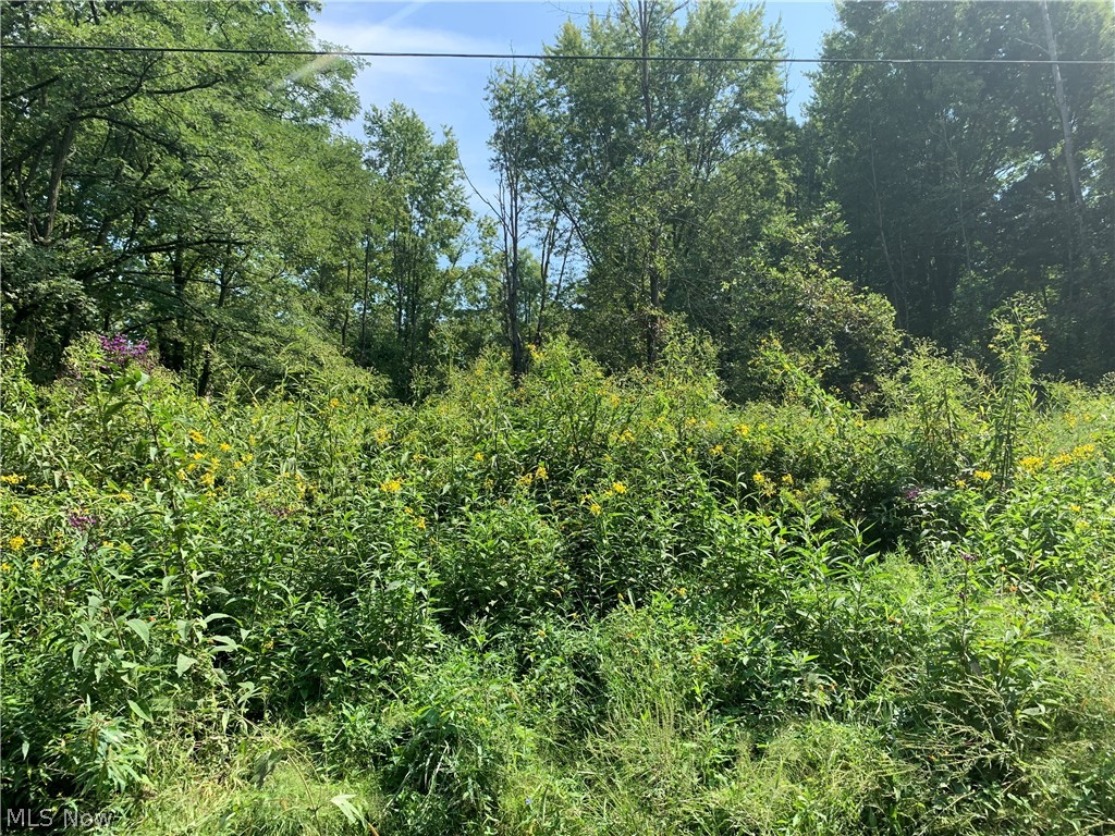 Here is a large recreational/ hunting property with excellent deer sign. Multiple creeks and thick cover make an ideal whitetail deer habitat. If you are looking for a place to get away this could be it! Over 600ft of frontage on Bridgen Rd.