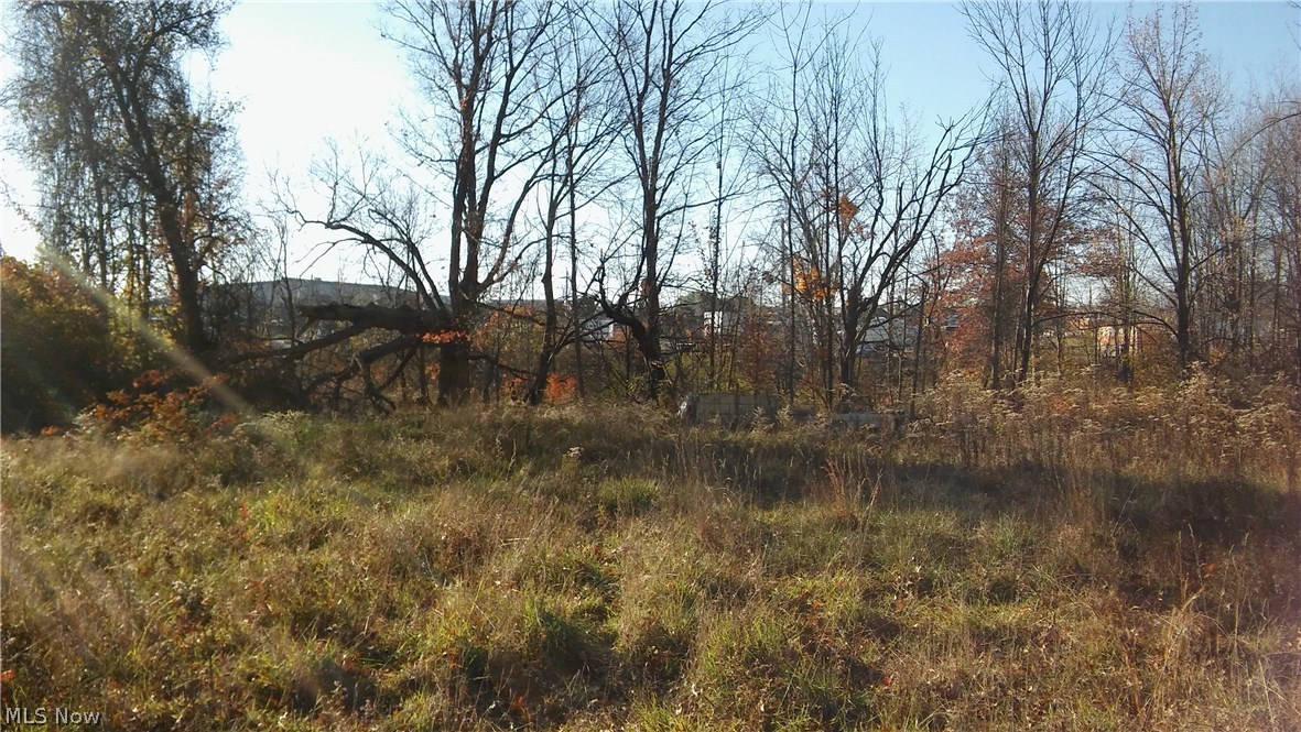 One Acre Farm Sub/J F Shaffer - Land