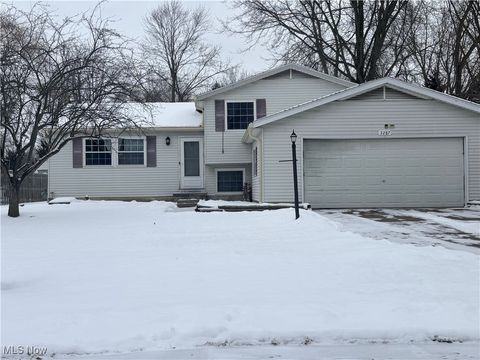 3287 Fillmore Drive Brunswick OH 44212