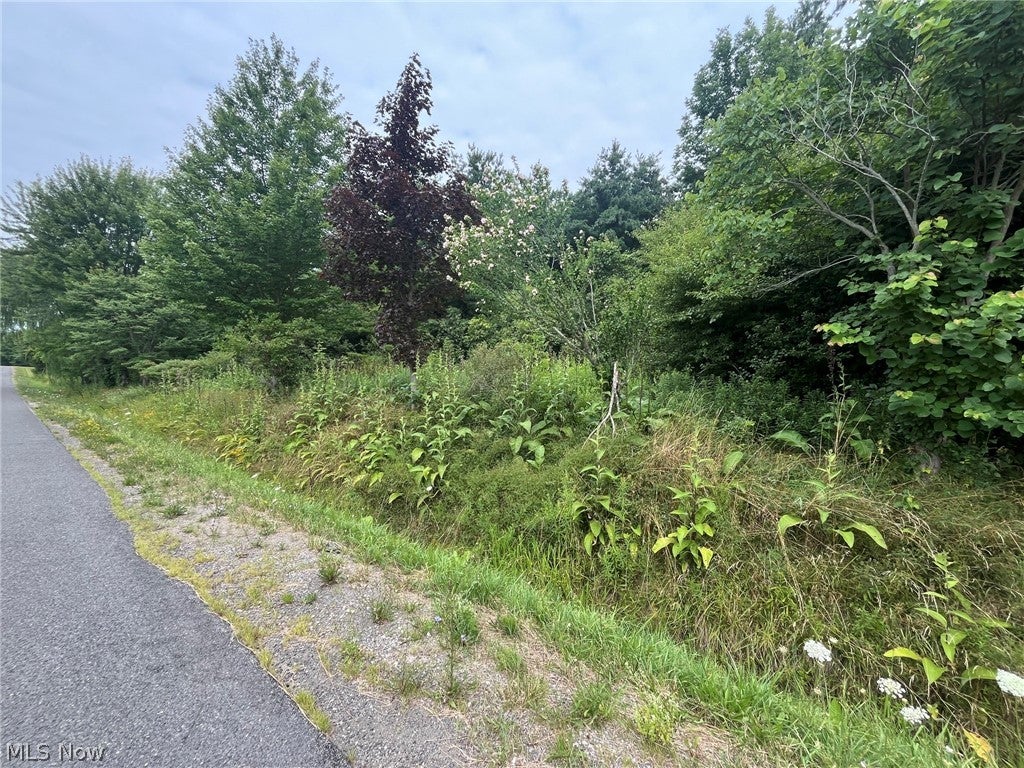 Buie Road