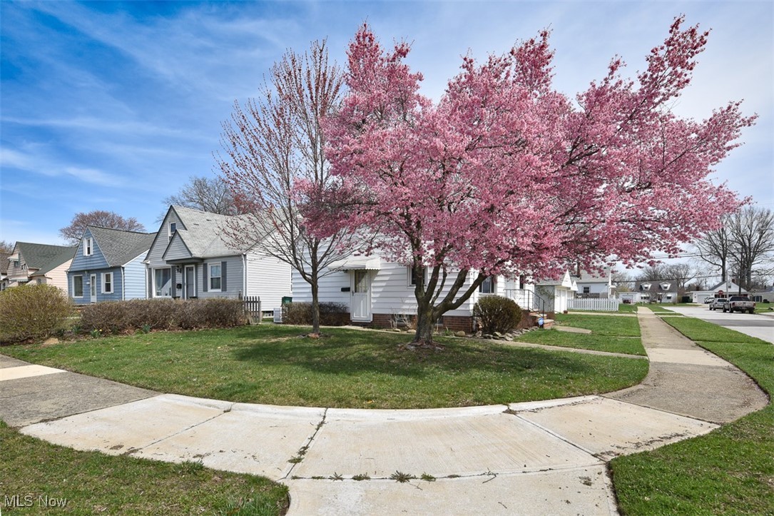 28931 Edgewood Drive, Willowick, Ohio image 42