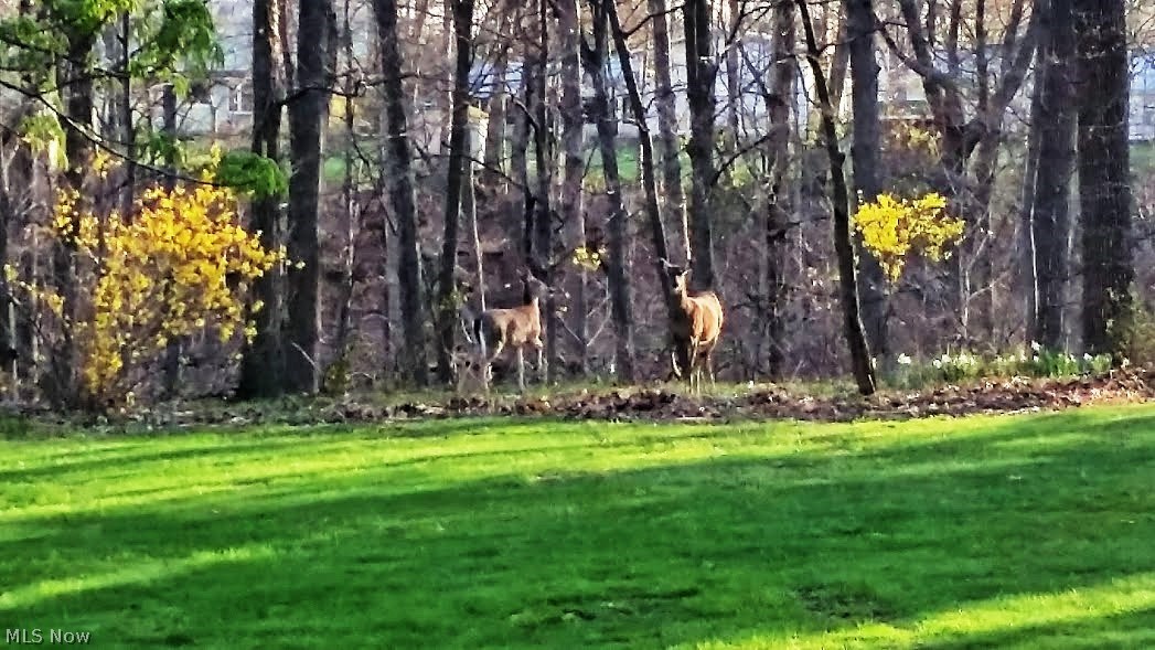 Spring Vly Land Cos 04 - Residential