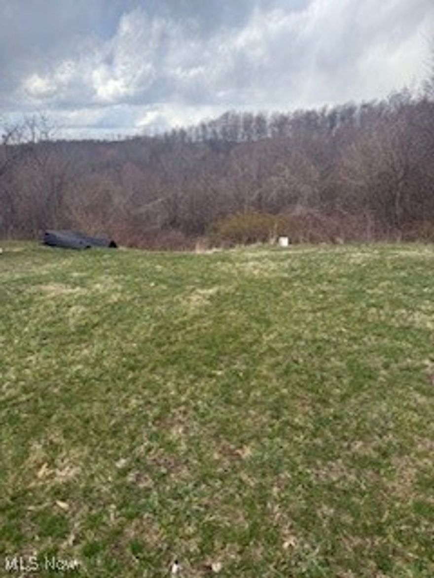 Discover the perfect canvas for your dream home on this 1-acre plot. Existing well and septic (1998) and electricity available. Property comes with a garage that is rented but will be vacated before possession. Schedule appointment to walk thru today!