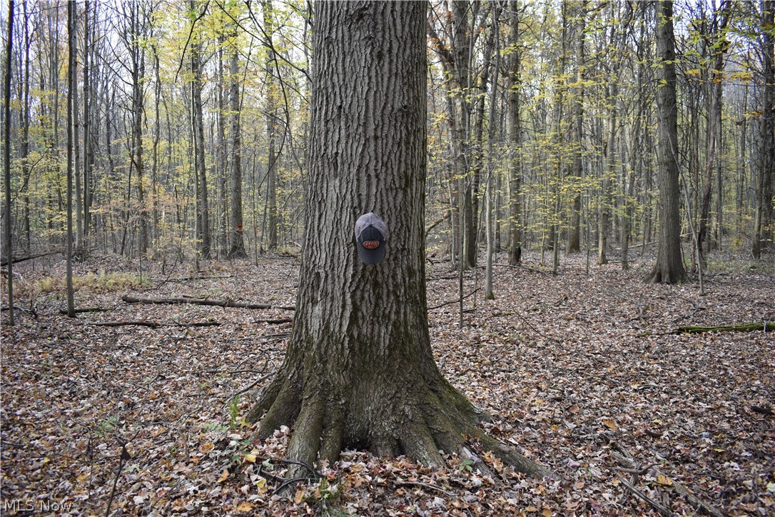 Brookfield Township Original S - Residential