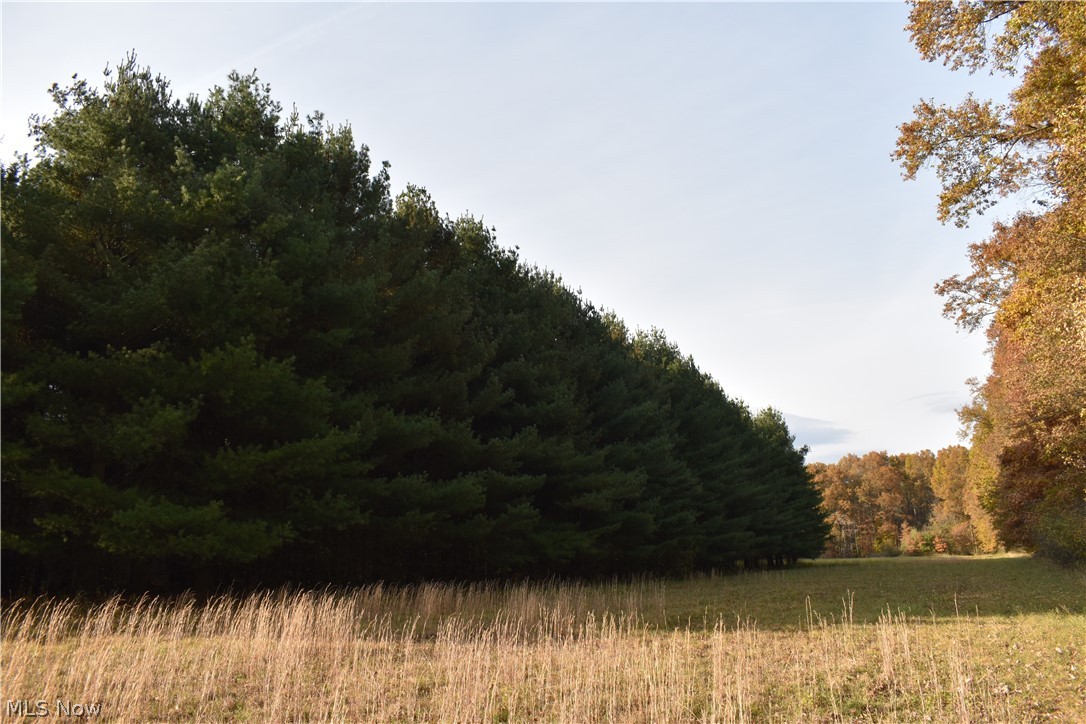 Brookfield Township Original S - Residential