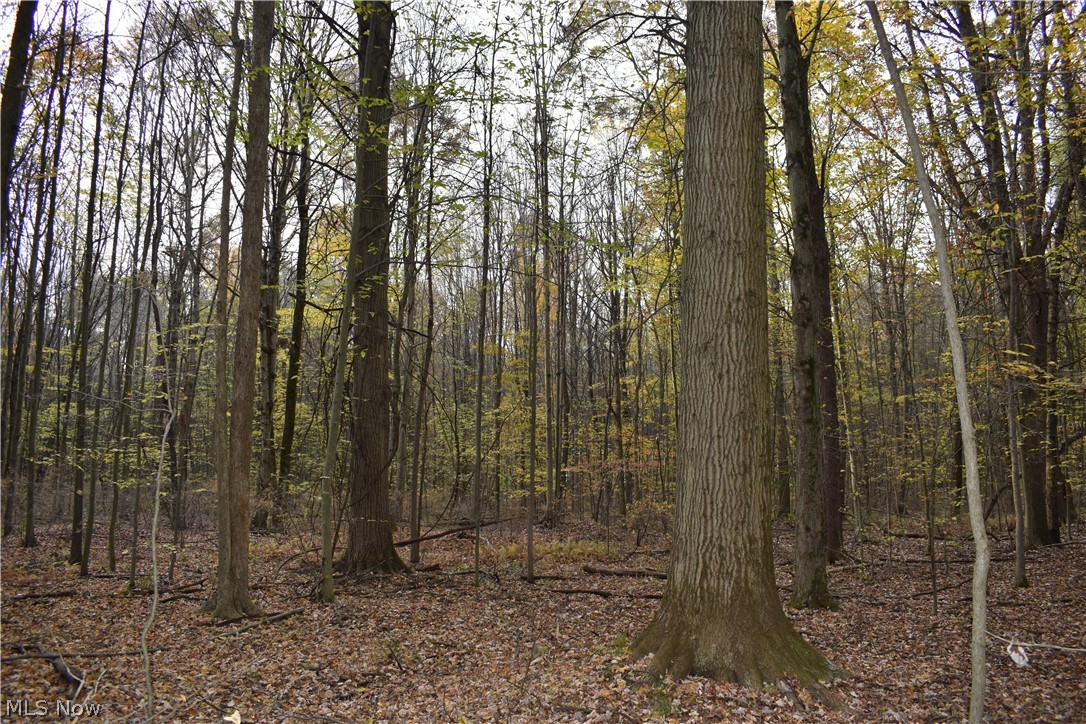 Brookfield Township Original S - Residential