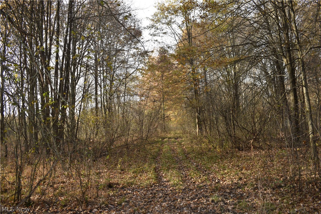 Brookfield Township Original S - Residential