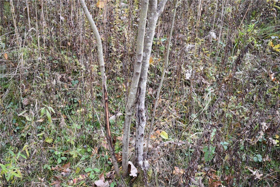 Brookfield Township Original S - Residential