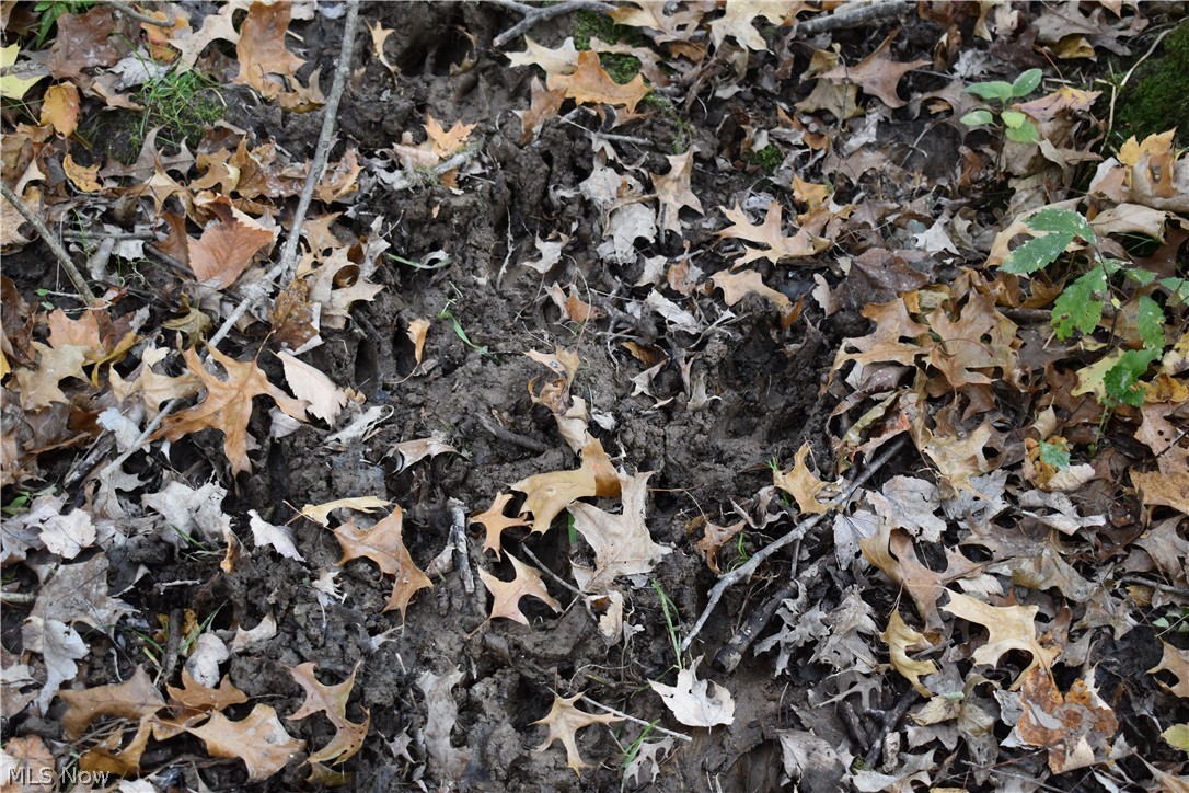 Brookfield Township Original S - Residential