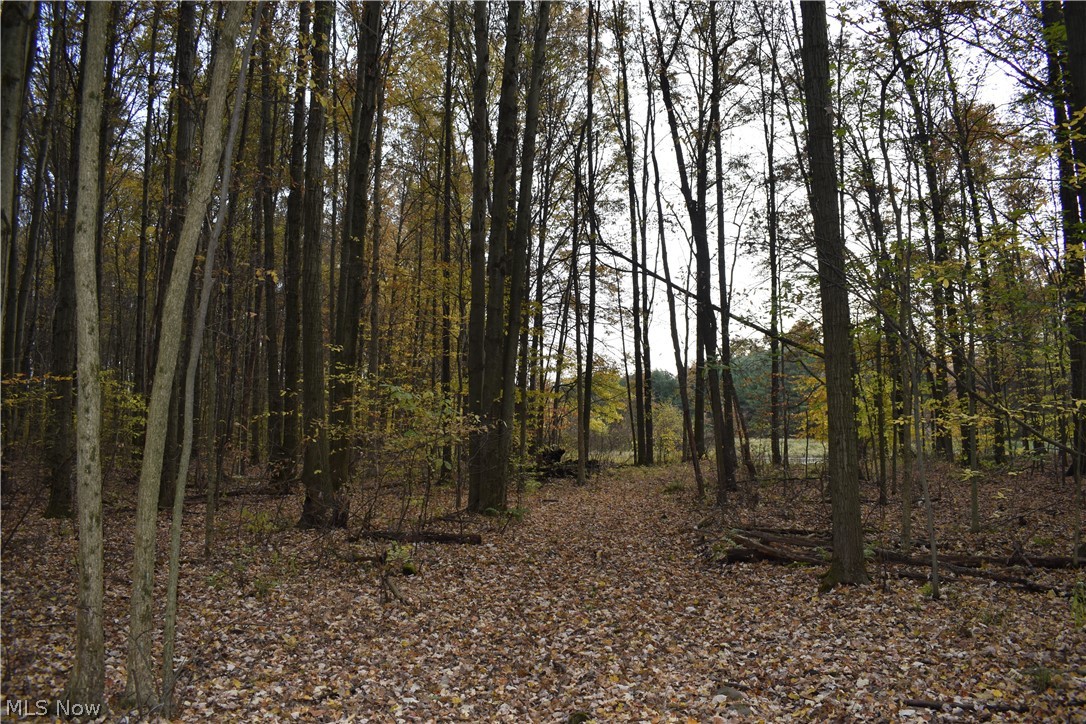 Brookfield Township Original S - Residential