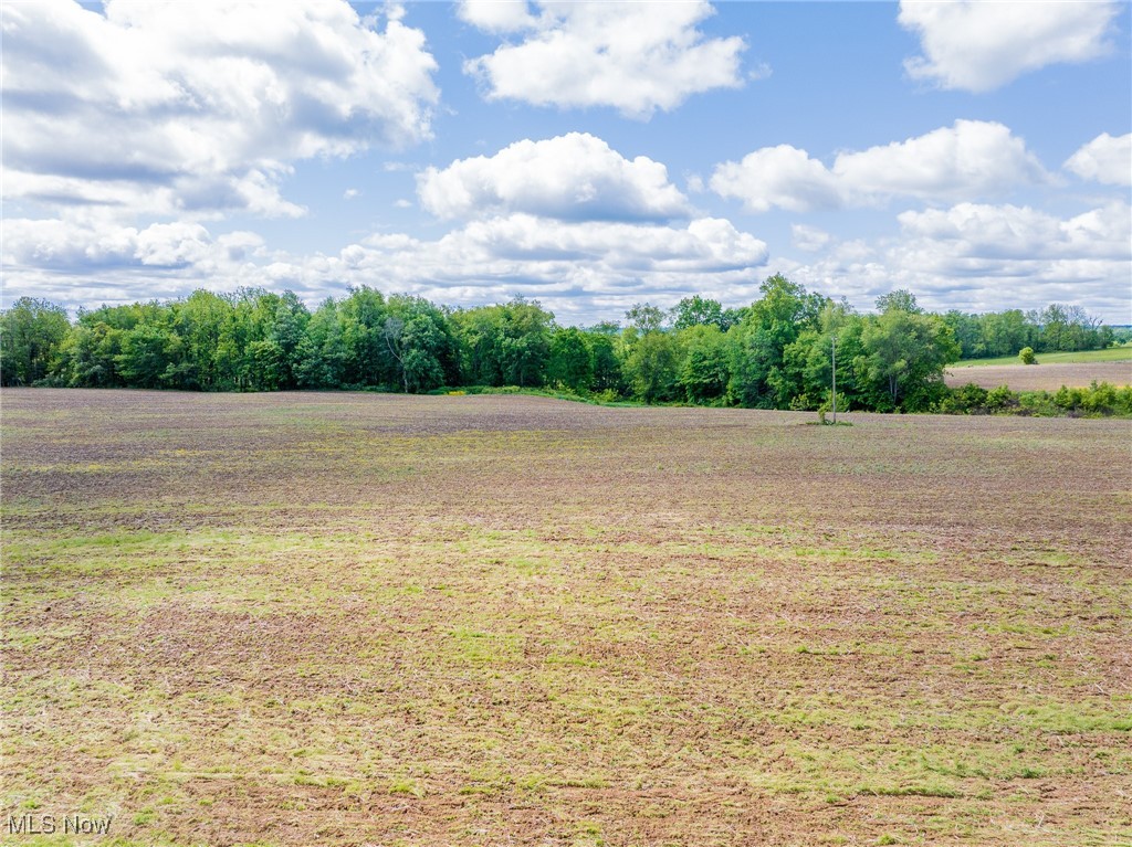 5251 Muffly Avenue, Navarre, Ohio image 7