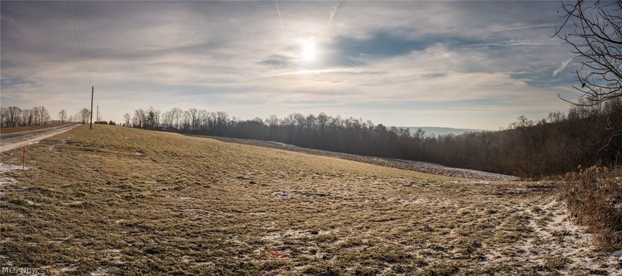 Auction on site on 1/28: Building sites are always hard to come by especially in this location. This land offers good frontage, level building sites, and a nice wooded tract with seclusion & privacy. Lots range in size from 5 to 14 acres and each offers unique characteristics.  The land is loaded with wildlife and offers good hunting. Walk this land at your convenience and envision your dream home settled on one of these lots already this spring. Contact Curt for a map, brochure, title opinion, and deed restrictions or visit our website. Mineral rights have been previously withheld and do not transfer.